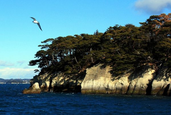 Matsushima Bay