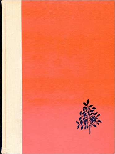 413OSylu6yL._SX370_BO1,204,203,200_