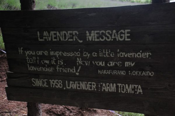 Farm Tomita, Furano