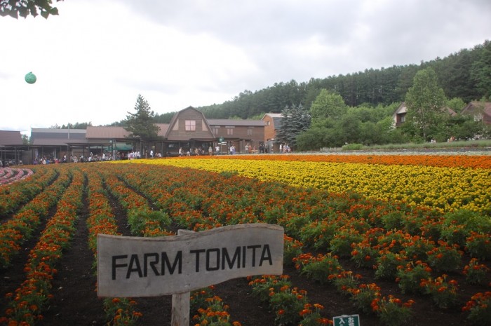 Farm Tomita