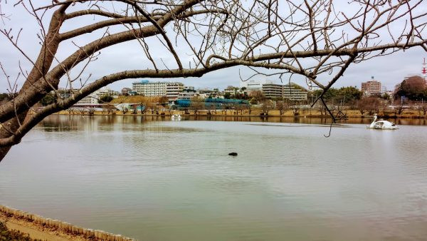 Senba Lake, Mito 